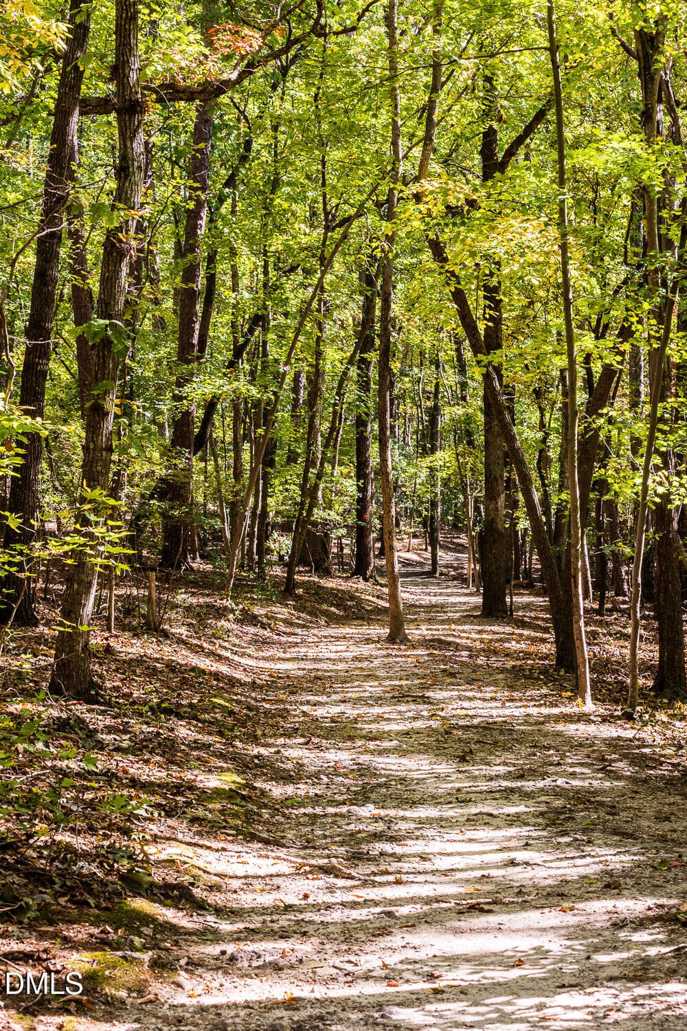 Raven Rock State Park (6) - 258 Blue Butterfly Drive, Angier, NC 27501, Angier
