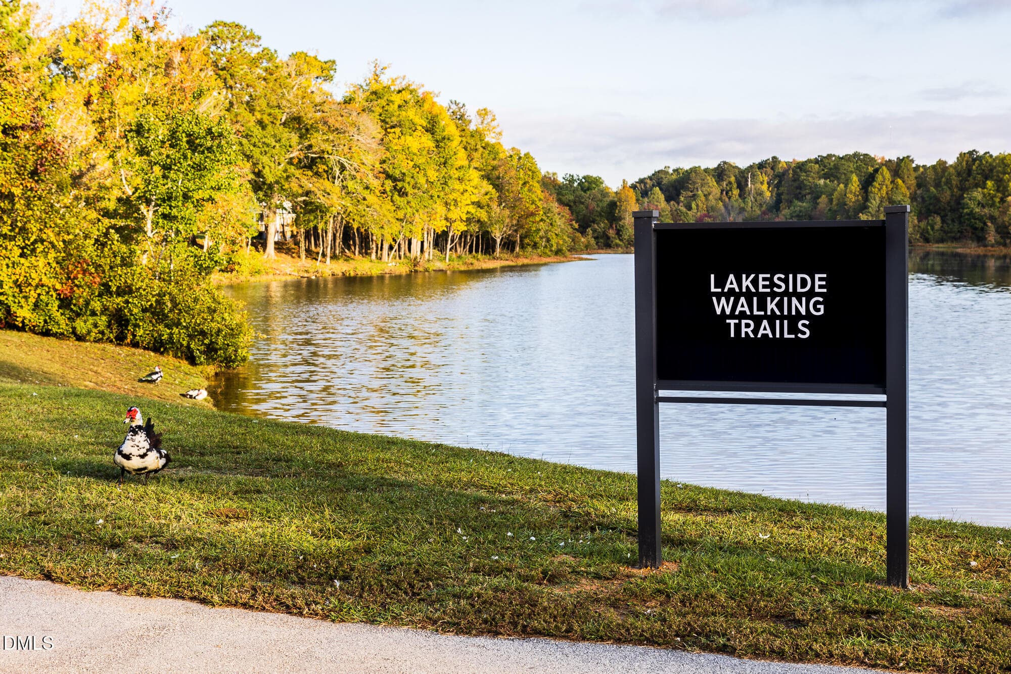 South Lakes Greenway Trail (2) - 258 Blue Butterfly Drive, Angier, NC 27501, Angier