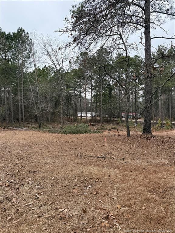 Photo 23 - 108 Richfield Court, Vass, NC 28394, Vass