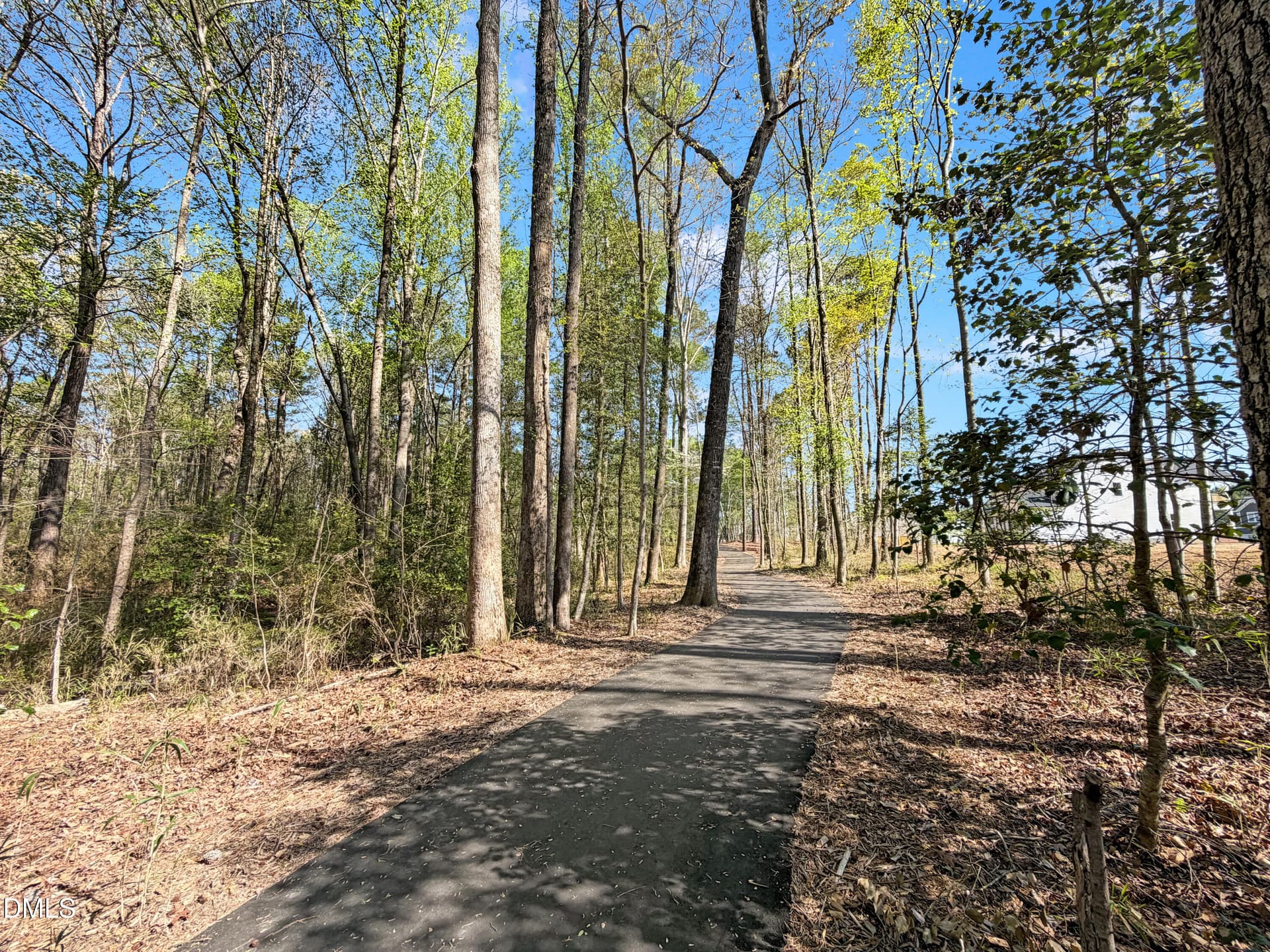 IMG_4934 - 198 Eagle Rock Drive, Lillington, NC 27546