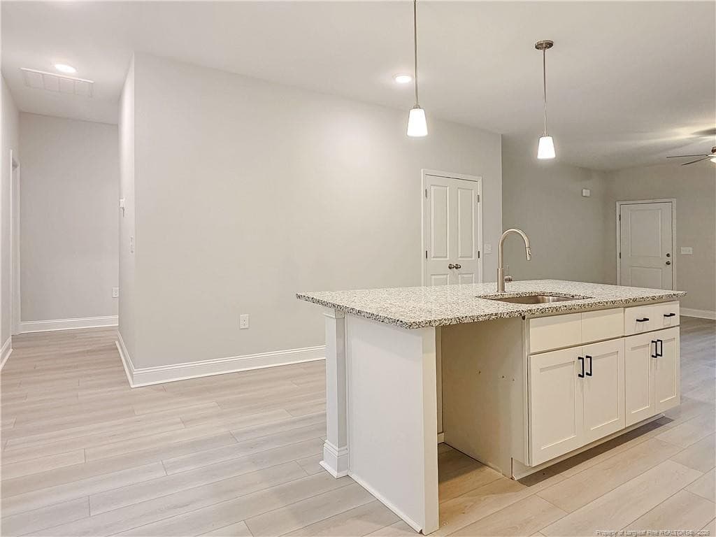 Photo 10 - 490 Needmore Road, Carthage, NC 28327