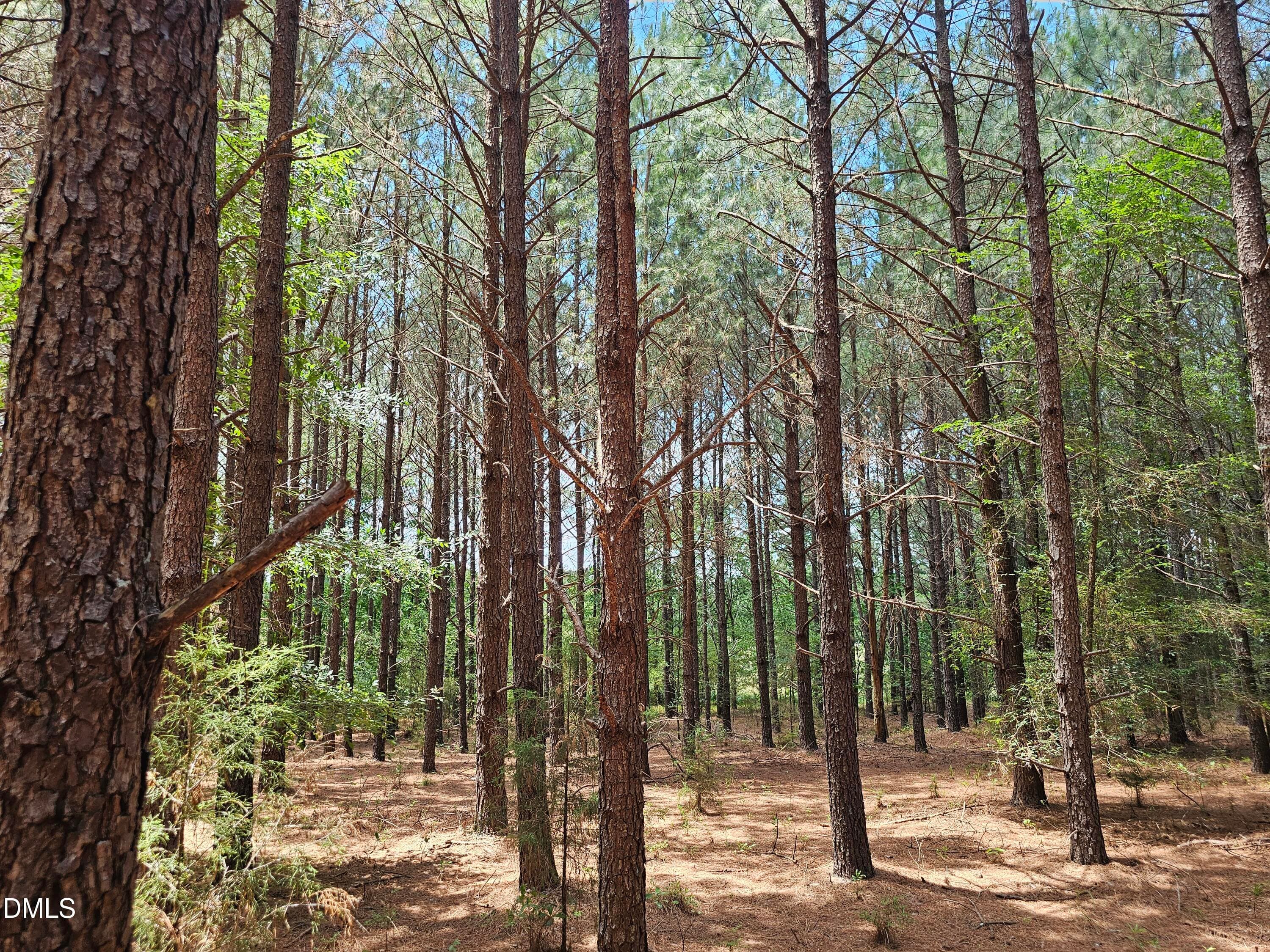 1000009377 - 850 Clarence Phillips Road, Bennett, NC 27208