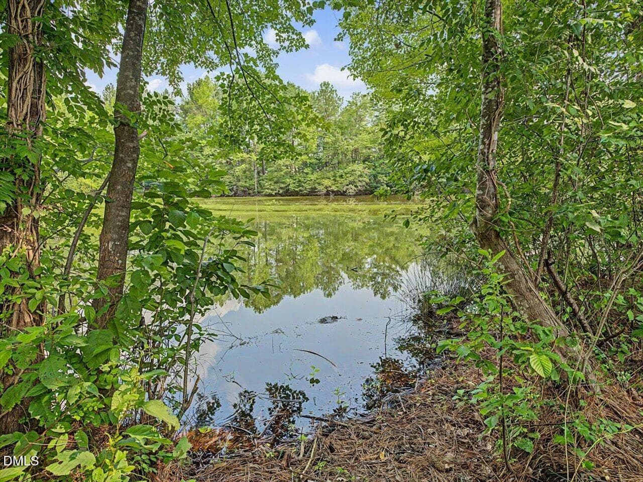 77-Pond - 4344 Prairie Creek Trail, Raleigh, NC 27616, Raleigh
