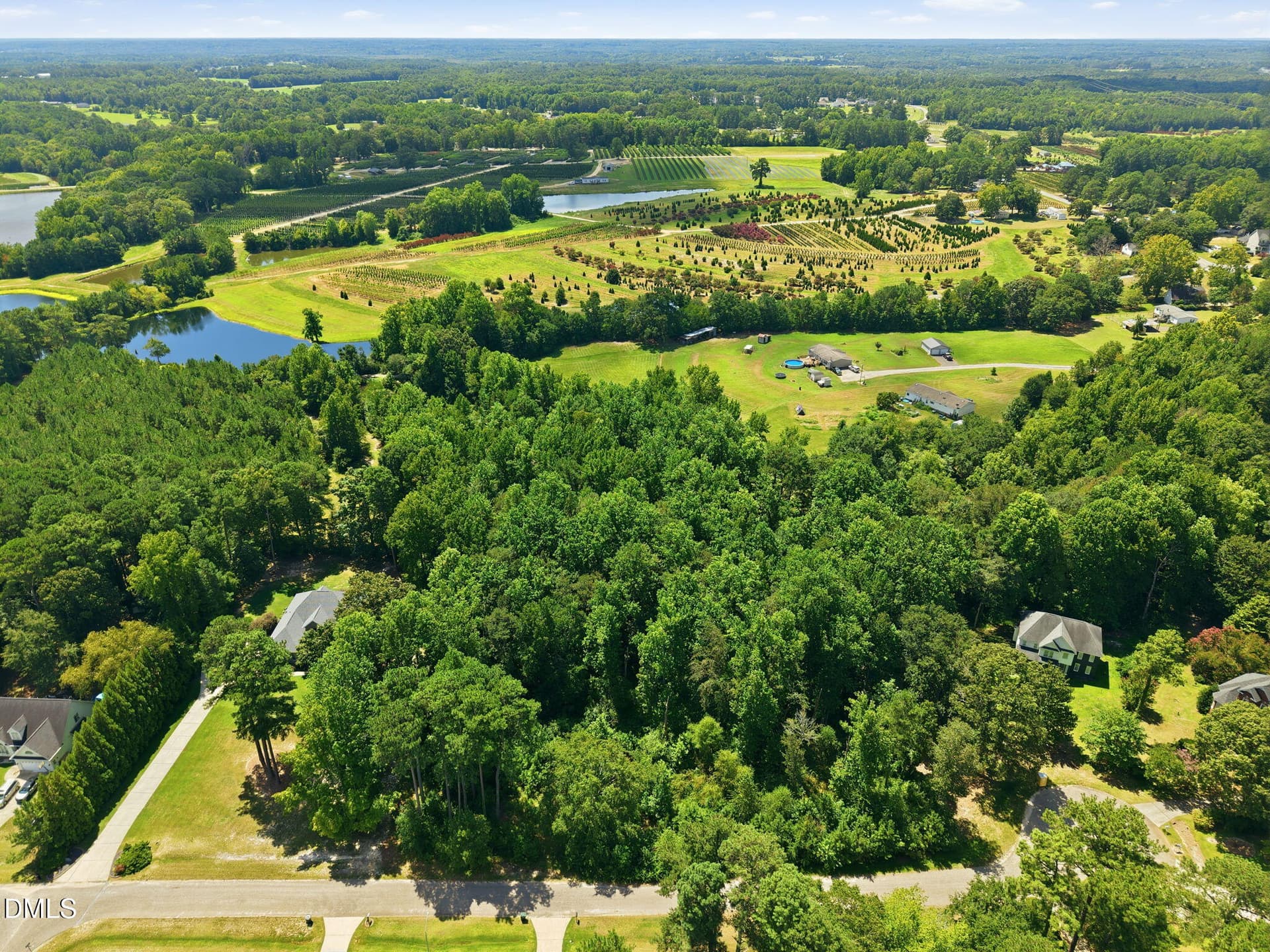 11-web-or-mls-DJI_20260818122547_0643_D - 205 Teresa Court, Angier, NC 27501