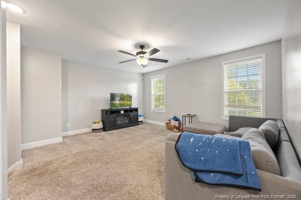 Photo 28 - 1 Meadow Court, Jackson Springs, NC 27281, Jackson Springs
