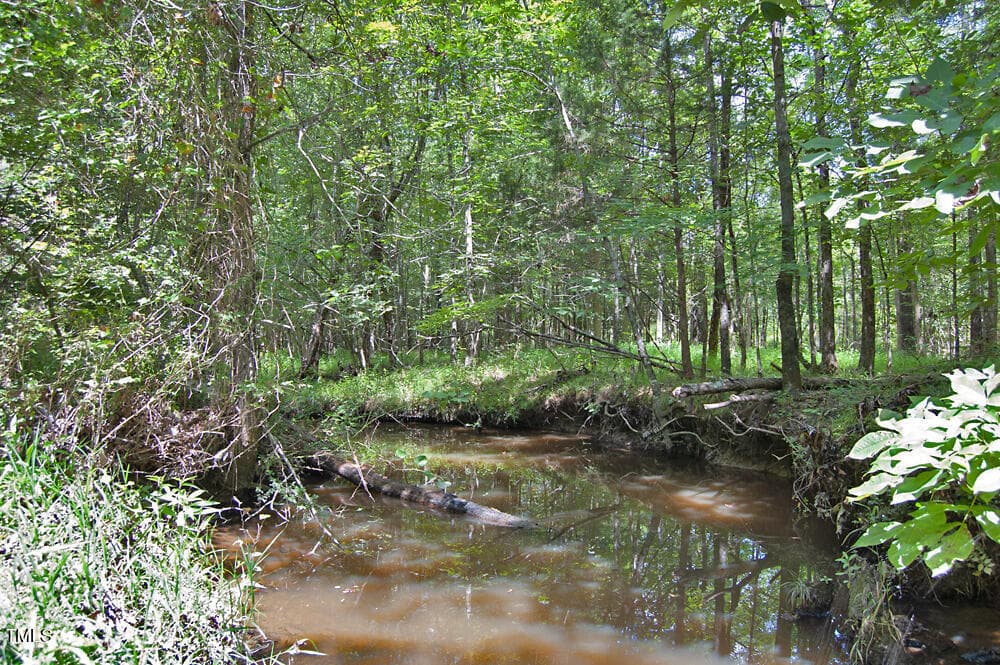 DSC_0746 - 0 Buckhorn Road, Bullock, NC 27507