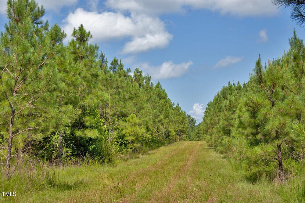 DSC_0707 - 0 Buckhorn Road, Bullock, NC 27507