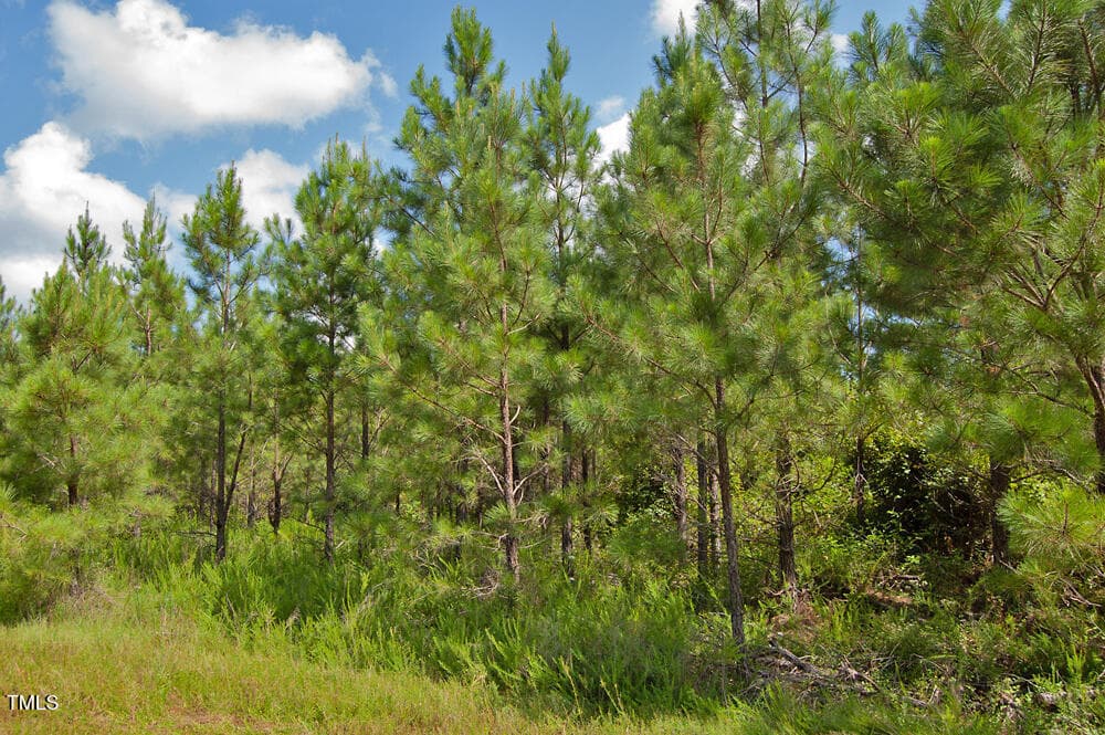 DSC_0708 - 0 Buckhorn Road, Bullock, NC 27507