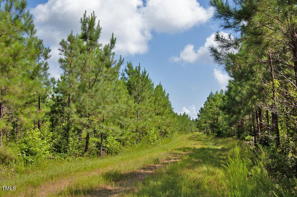 DSC_0709 - 0 Buckhorn Road, Bullock, NC 27507