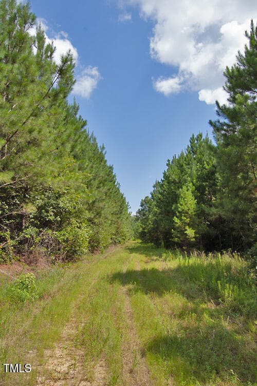 DSC_0722 - 0 Buckhorn Road, Bullock, NC 27507