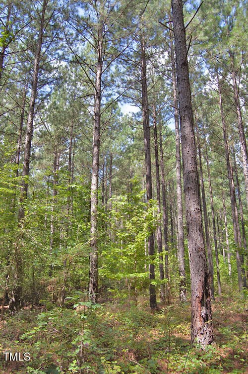 DSC_0727 - 0 Buckhorn Road, Bullock, NC 27507
