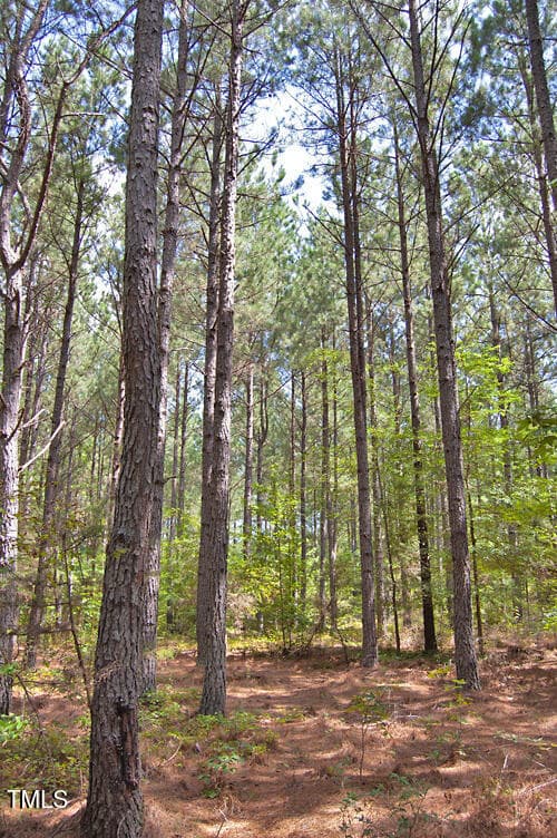 DSC_0729 - 0 Buckhorn Road, Bullock, NC 27507