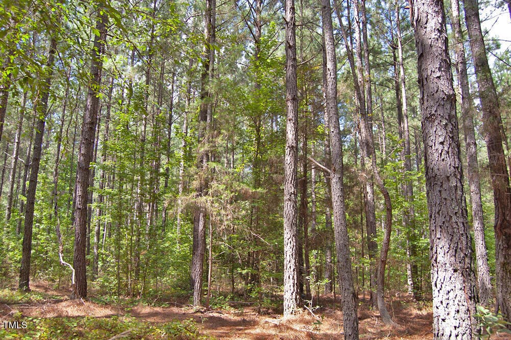 DSC_0733 - 0 Buckhorn Road, Bullock, NC 27507