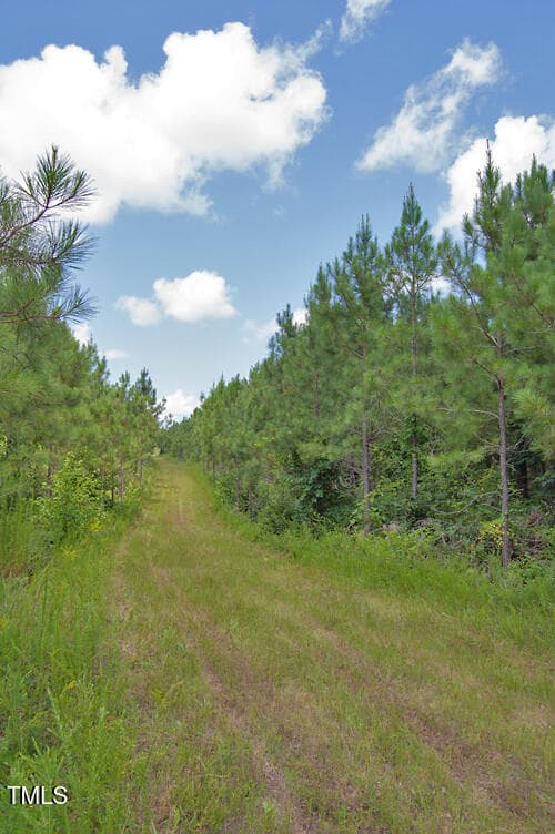 DSC_0738 - 0 Buckhorn Road, Bullock, NC 27507