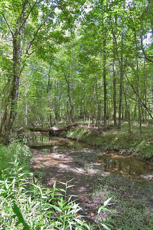 DSC_0743 - 0 Buckhorn Road, Bullock, NC 27507