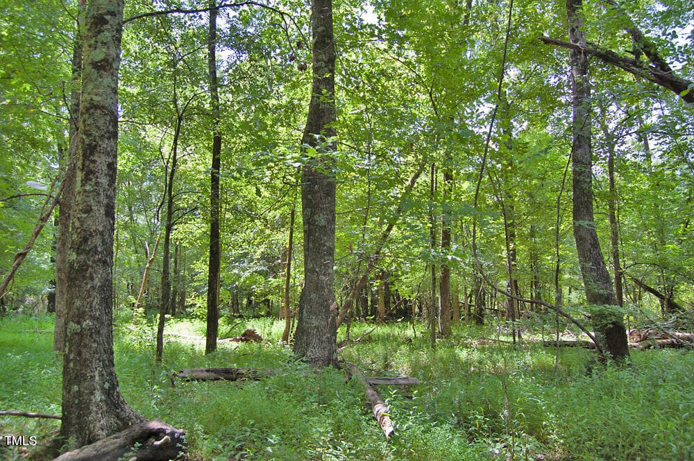 DSC_0744 - 0 Buckhorn Road, Bullock, NC 27507