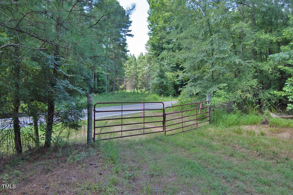 DSC_0755 - 0 Buckhorn Road, Bullock, NC 27507