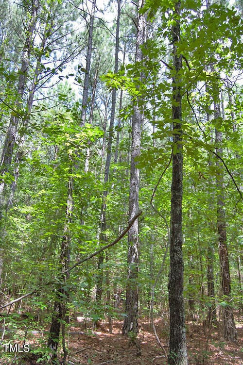 DSC_0768 - 0 Buckhorn Road, Bullock, NC 27507