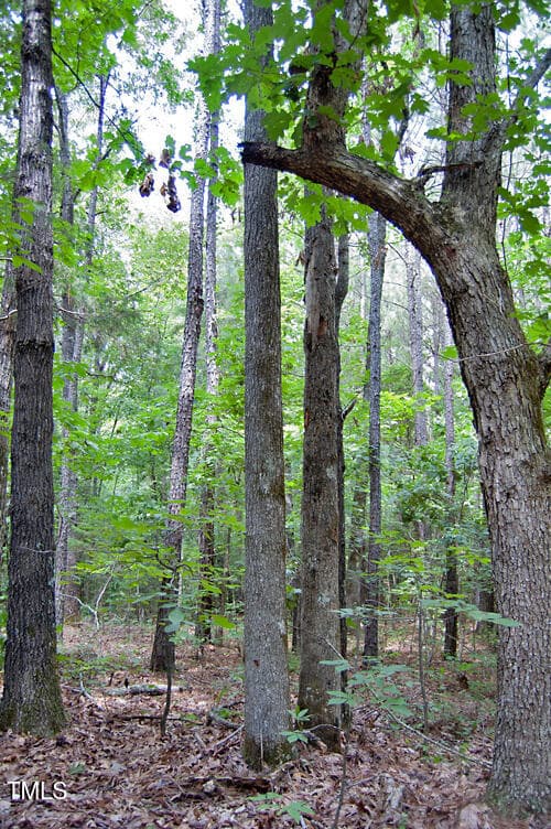 DSC_0771 - 0 Buckhorn Road, Bullock, NC 27507