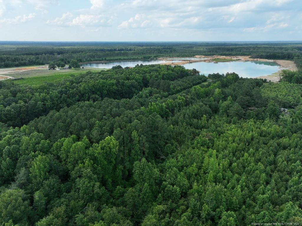 Photo 4 - 8125 Carlos Road, Linden, NC 28356