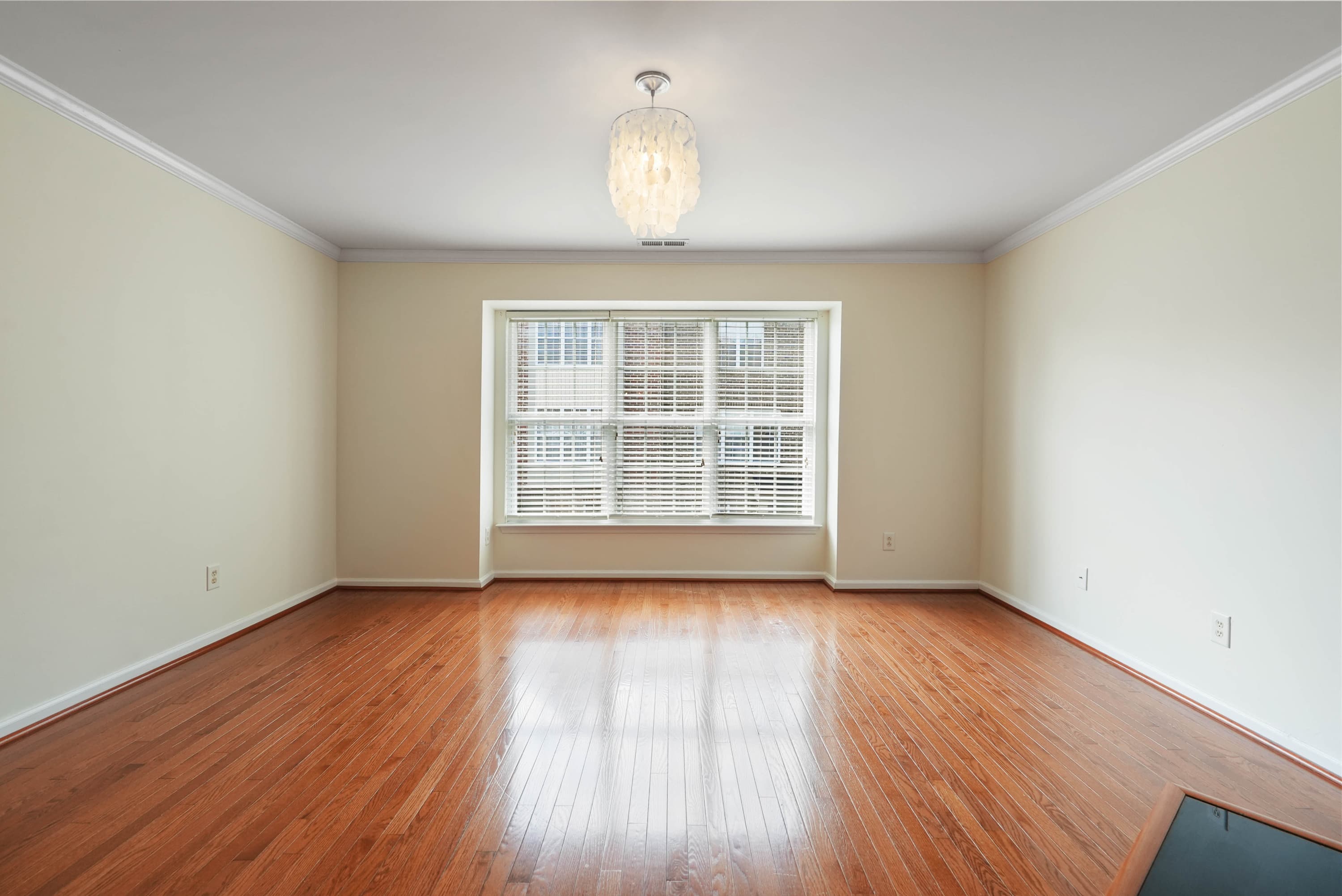 done9909wasser-17.jpg - 9909 Wasser Court, Raleigh, NC 27617, Raleigh