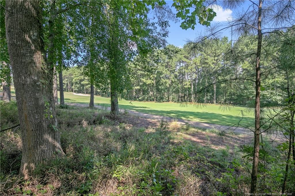 Photo 38 - 25 London Way, Spring Lake, NC 28390