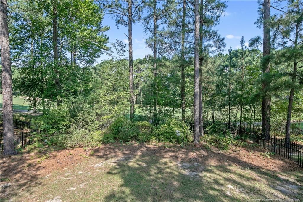 Photo 42 - 25 London Way, Spring Lake, NC 28390