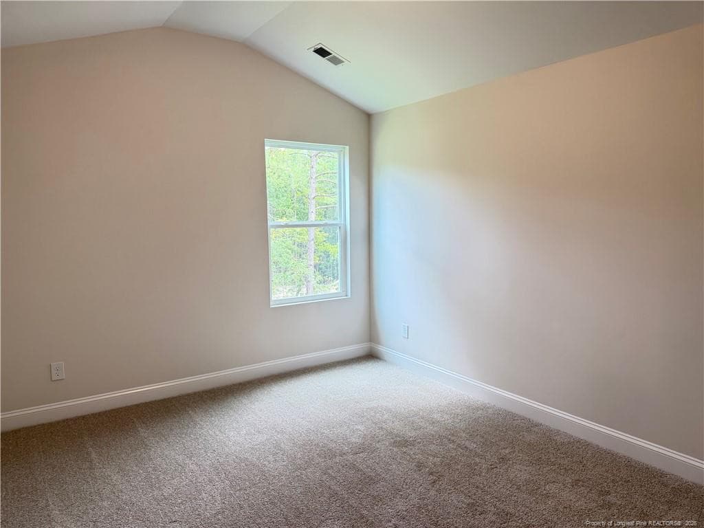 Photo 23 - 89 Omie Branch Lane, Lillington, NC 27546