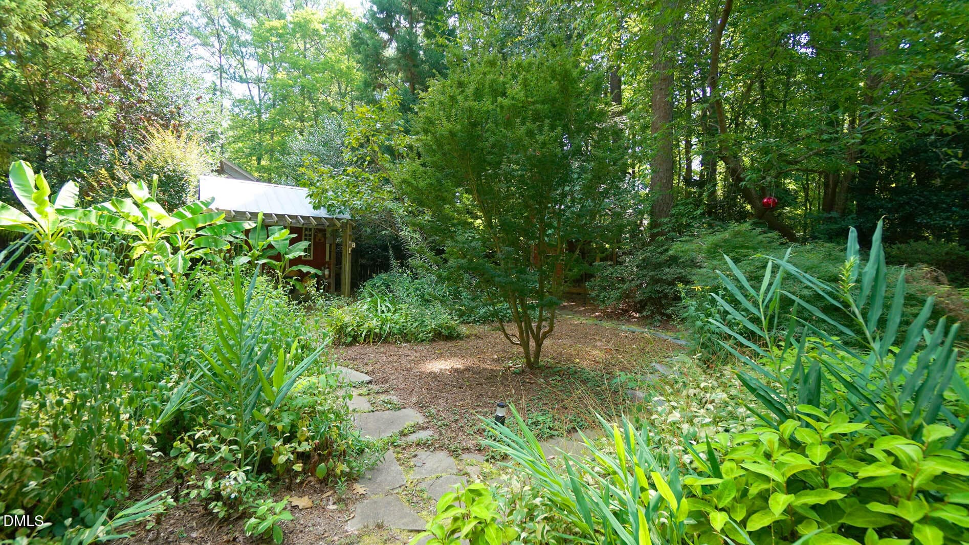 Backyard - 818 Lake Forest Drive, Raleigh, NC 27615, Raleigh