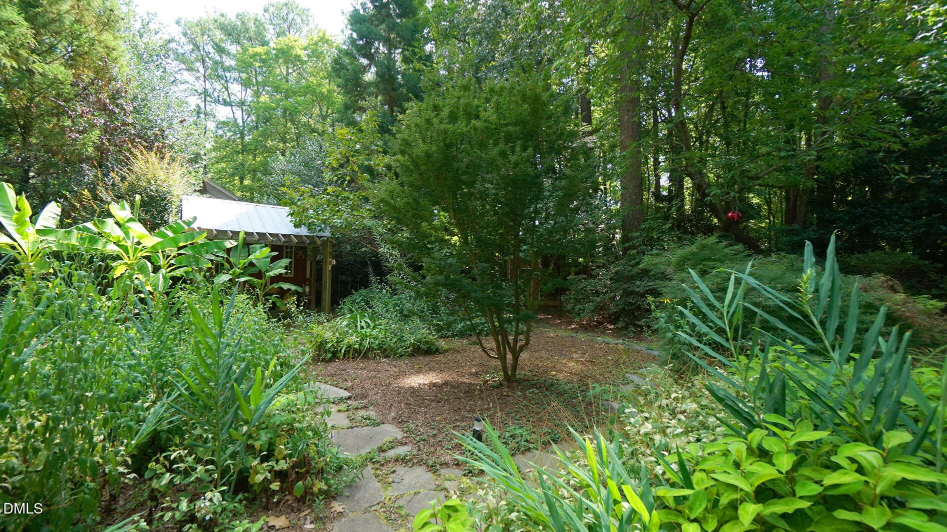 Backyard - 818 Lake Forest Drive, Raleigh, NC 27615, Raleigh