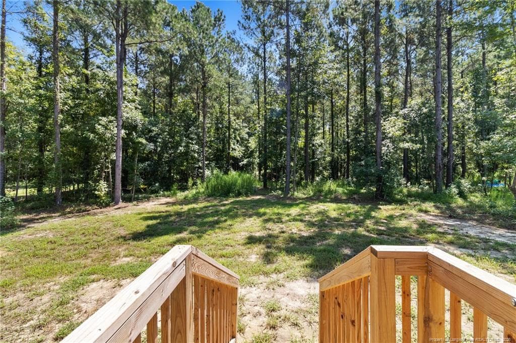 Photo 31 - 4523 Mercer Mill Brown Marsh Road, Clarkton, NC 28433, Clarkton