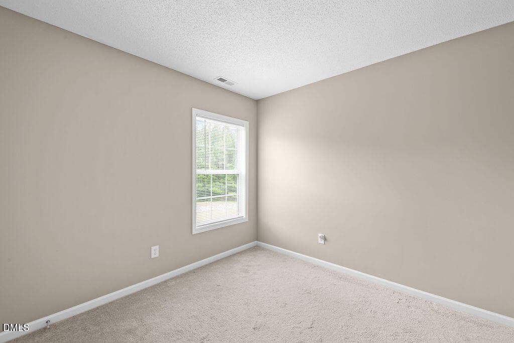 465A5038 - 3303 Glennstone Drive, Durham, NC 27704, Durham