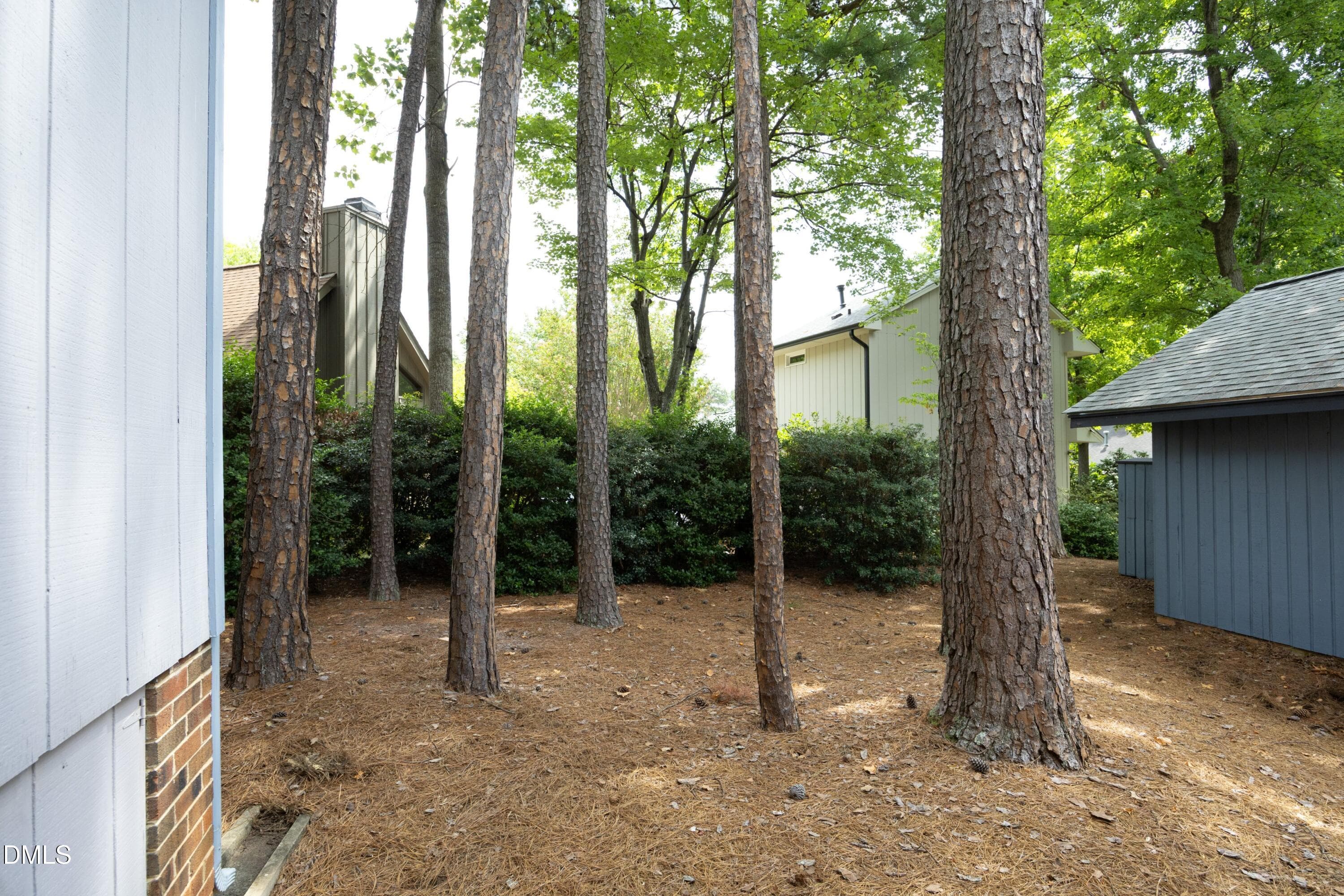 10Back - 3004 Rue Sans Famille, Raleigh, NC 27607, Raleigh