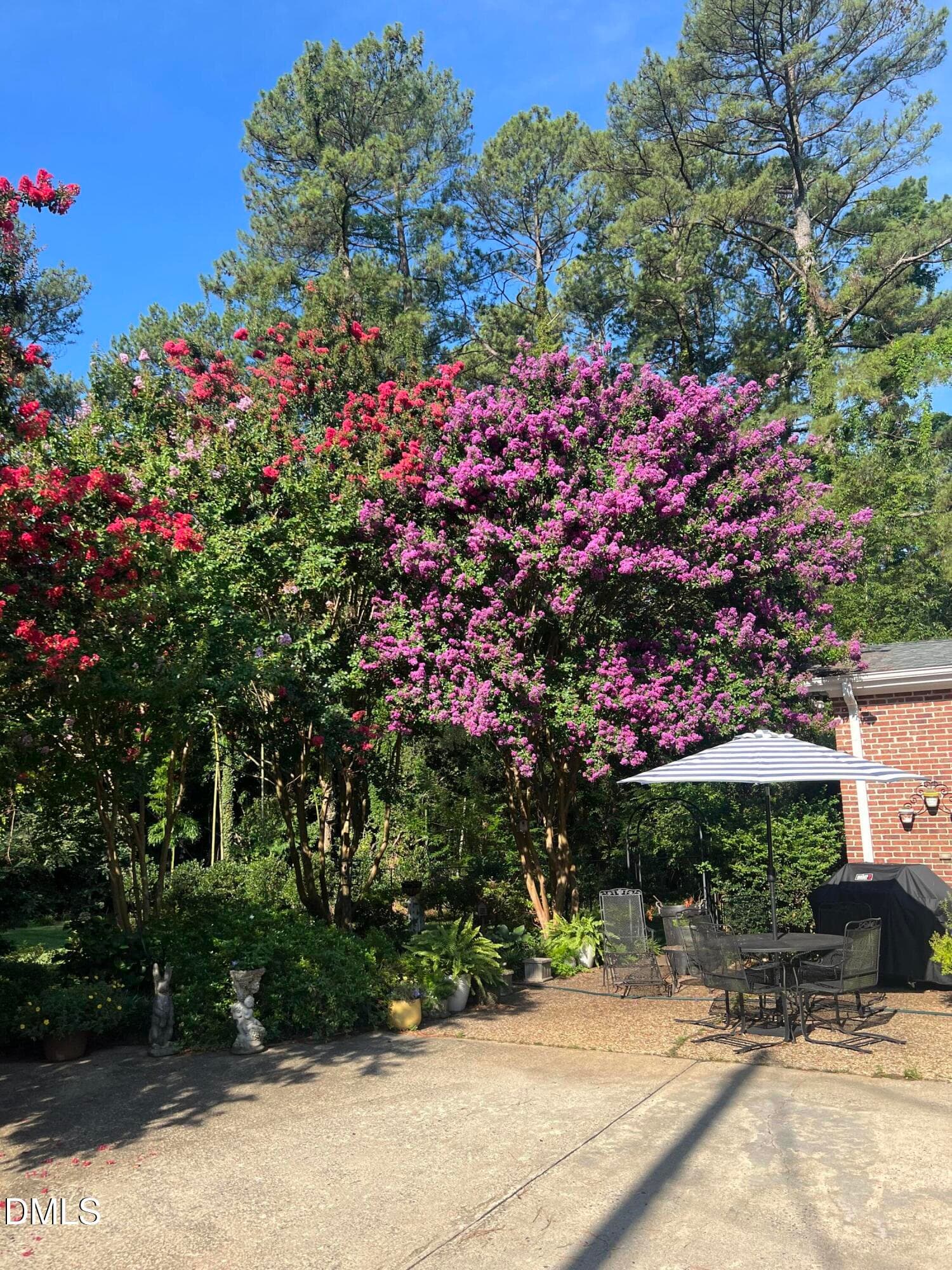 Back Yard Crepe Myrtle 1 - 1014 Country Ridge Drive, Raleigh, NC 27609, Raleigh