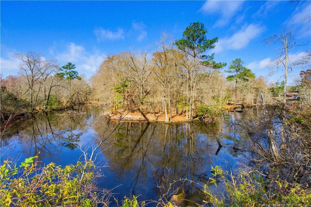 Photo 36 - 208 Kyra Lane, Maxton, NC 28364, Maxton