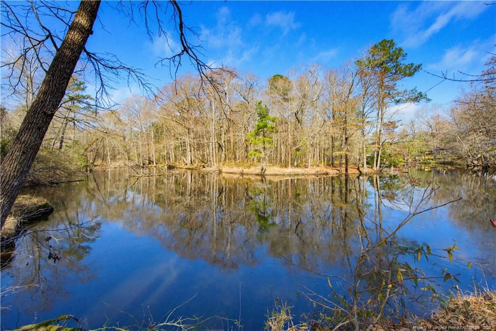Photo 39 - 208 Kyra Lane, Maxton, NC 28364, Maxton
