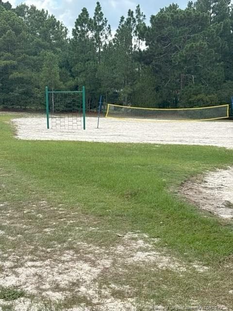 volleyball court - 188 Firetree Lane, West End, NC 27376