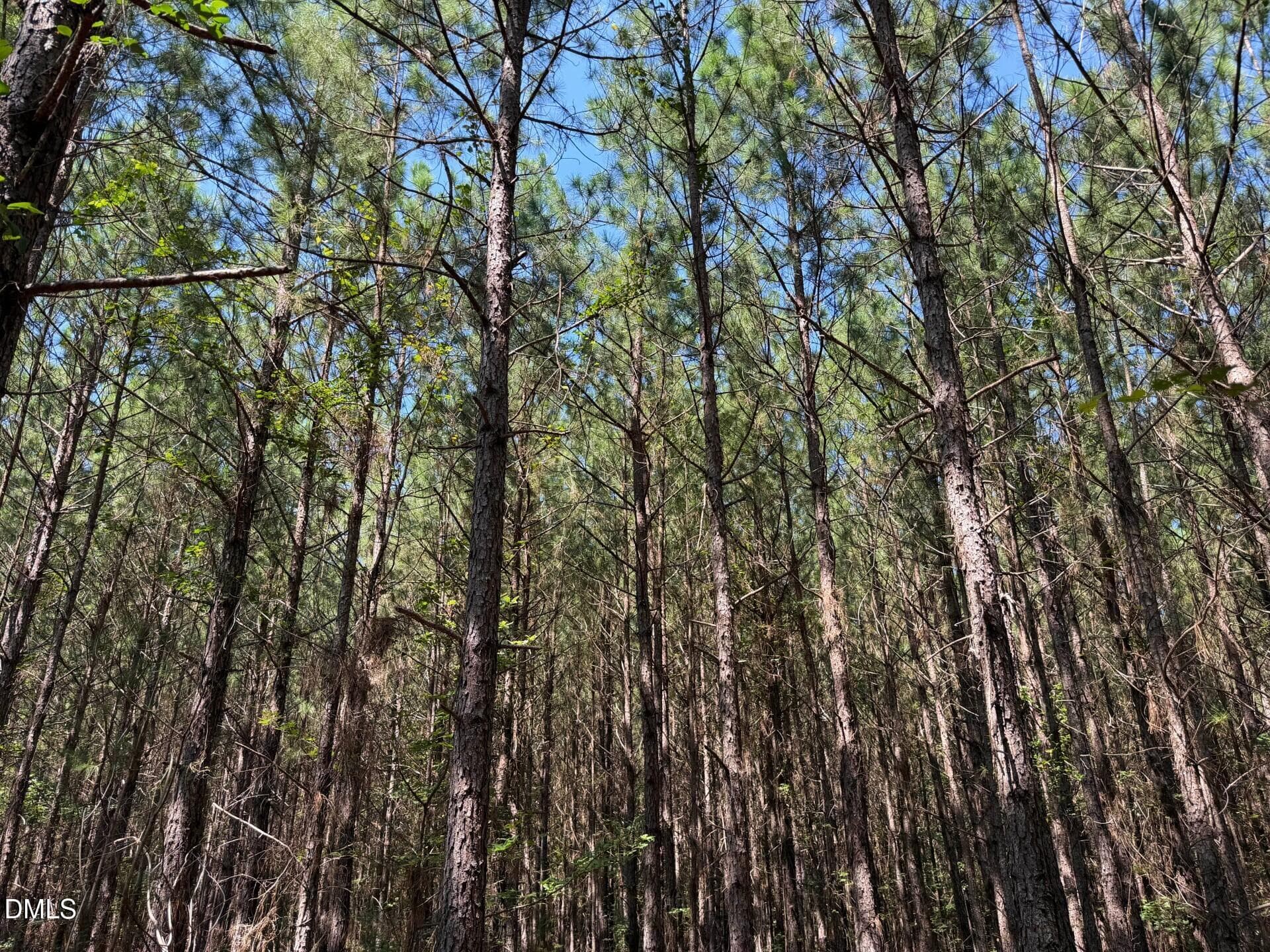 Pic 19 - Lot 2 Hwy 42 Road, Goldston, NC 27252