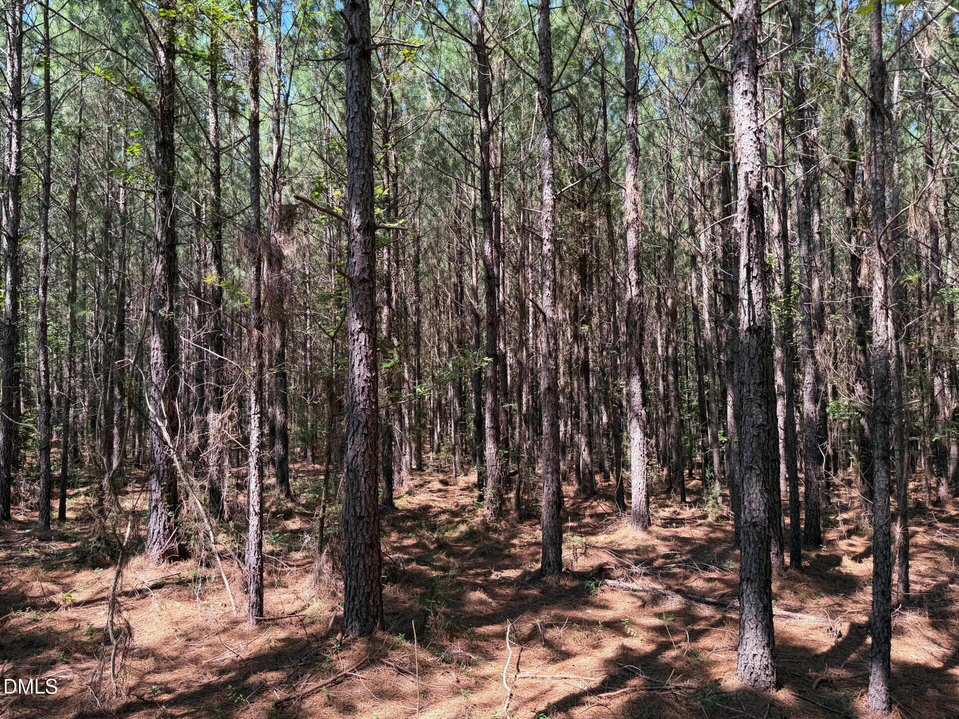 Pic 20 - Lot 2 Hwy 42 Road, Goldston, NC 27252