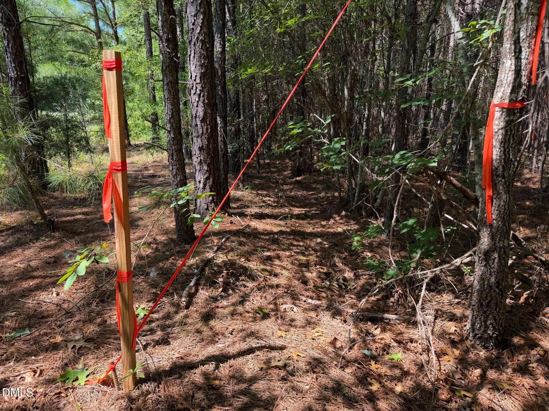 Pic 21 - Lot 2 Hwy 42 Road, Goldston, NC 27252