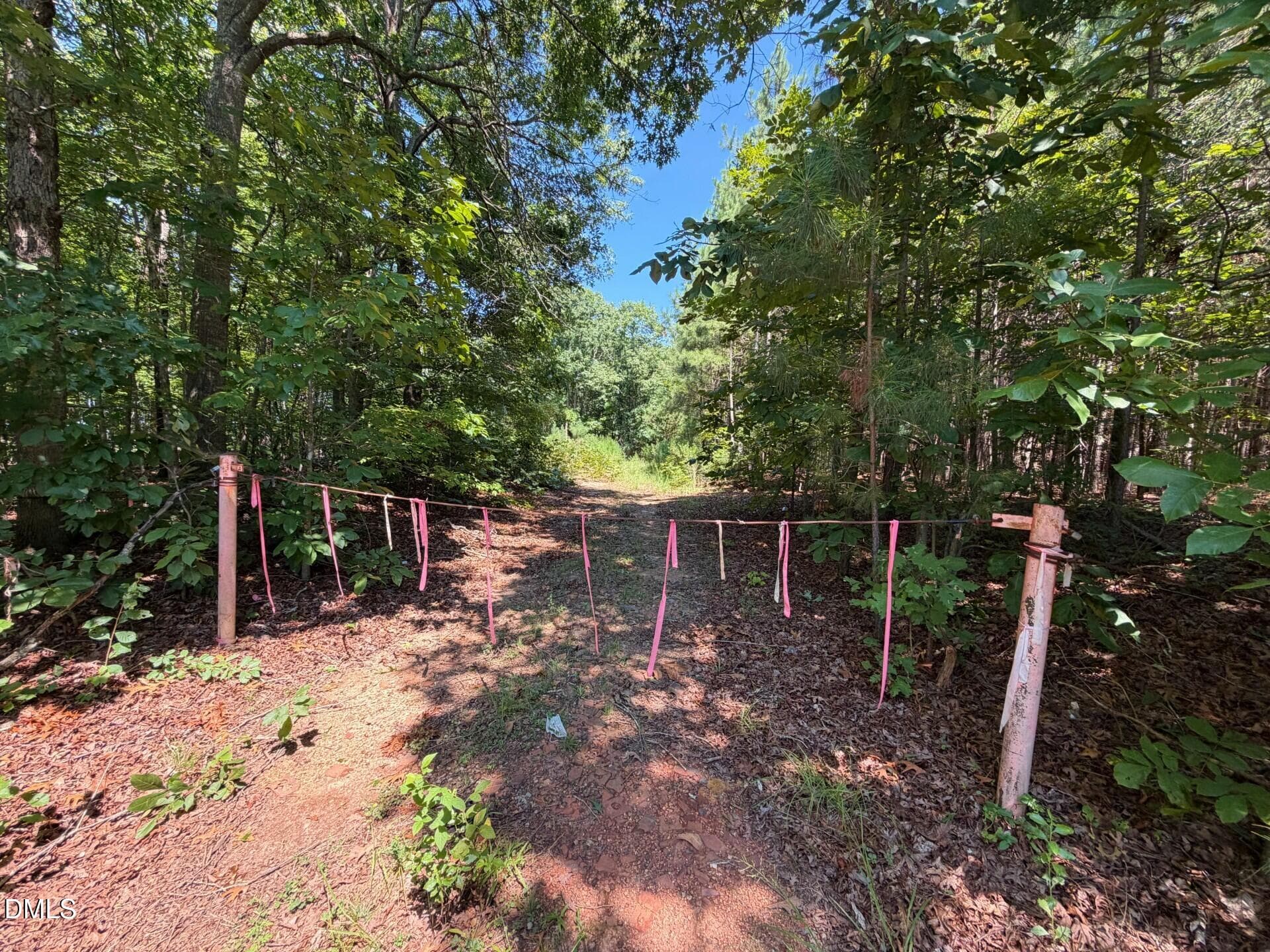 Pic 22 - Lot 2 Hwy 42 Road, Goldston, NC 27252
