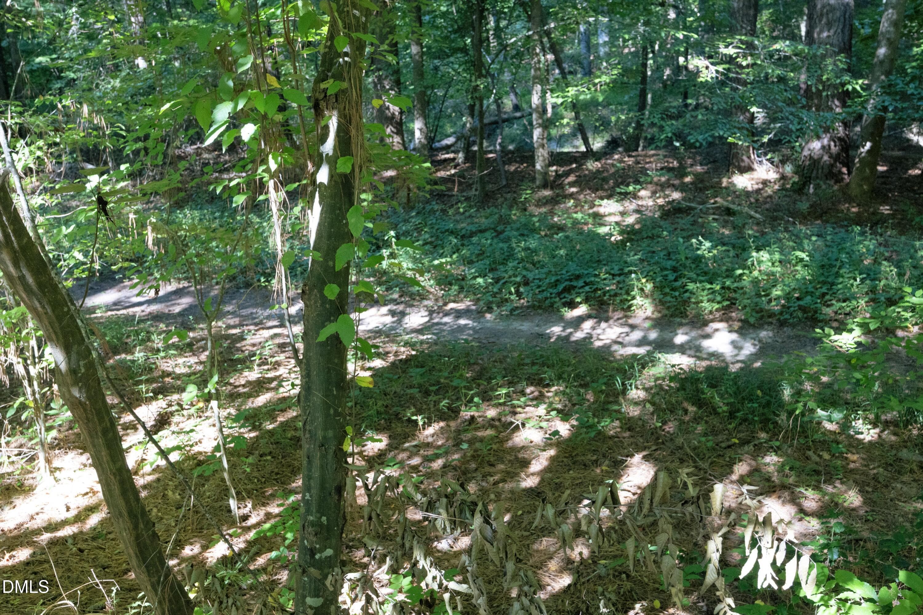 31BackTrail - 6502 Thetford Court, Raleigh, NC 27615, Raleigh