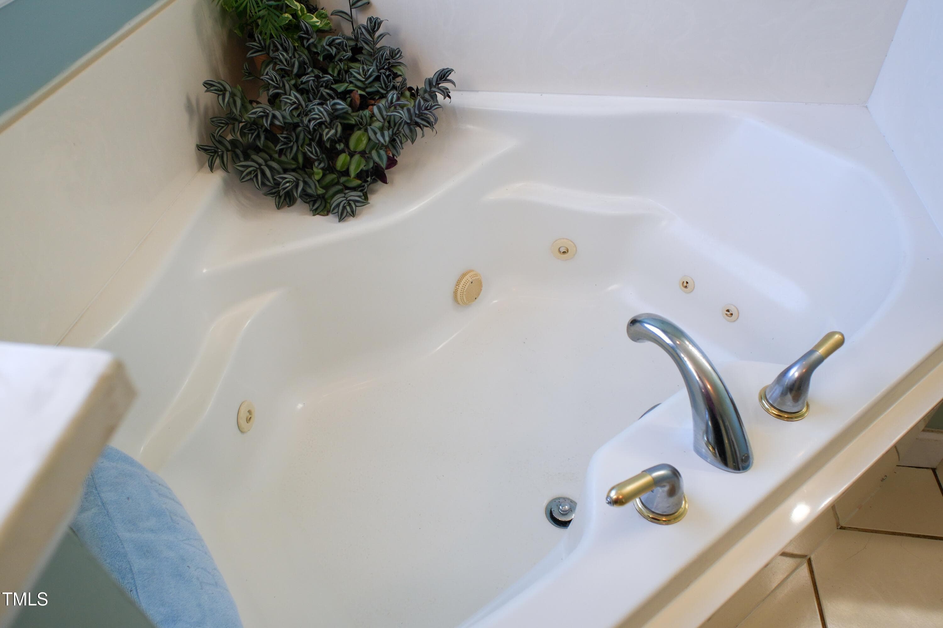 Owners Bath - 115 Hunters Walk Lane, Clinton, NC 28328, Clinton
