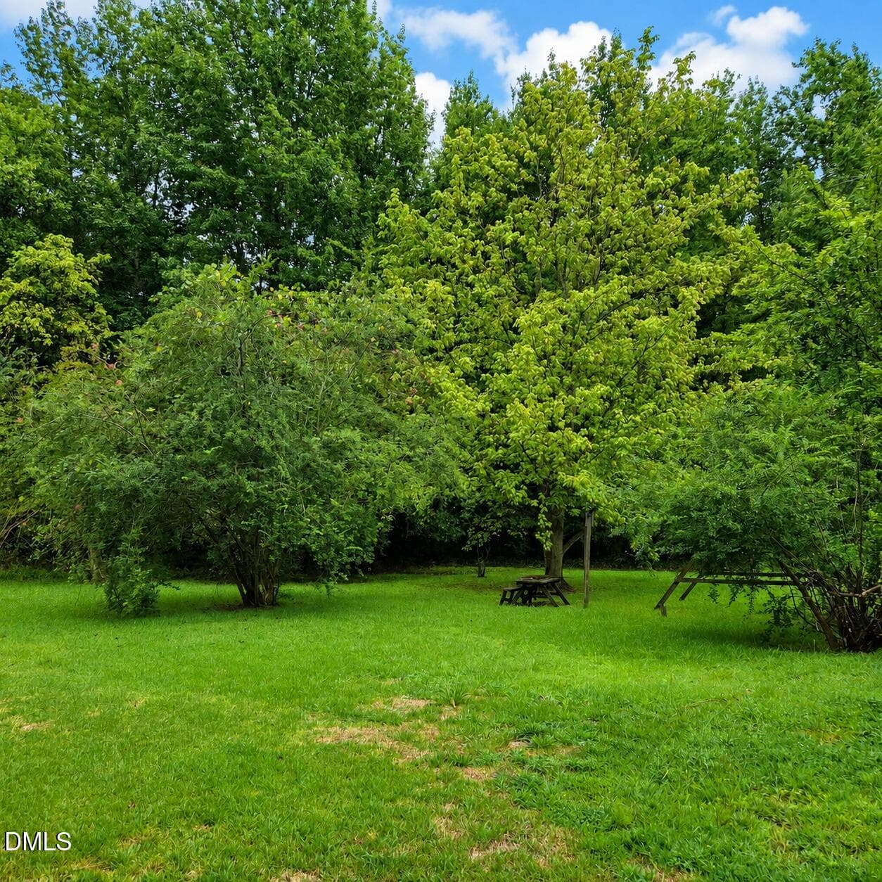 1000042767 - 534 Madison Street, Plymouth, NC 27962, Plymouth