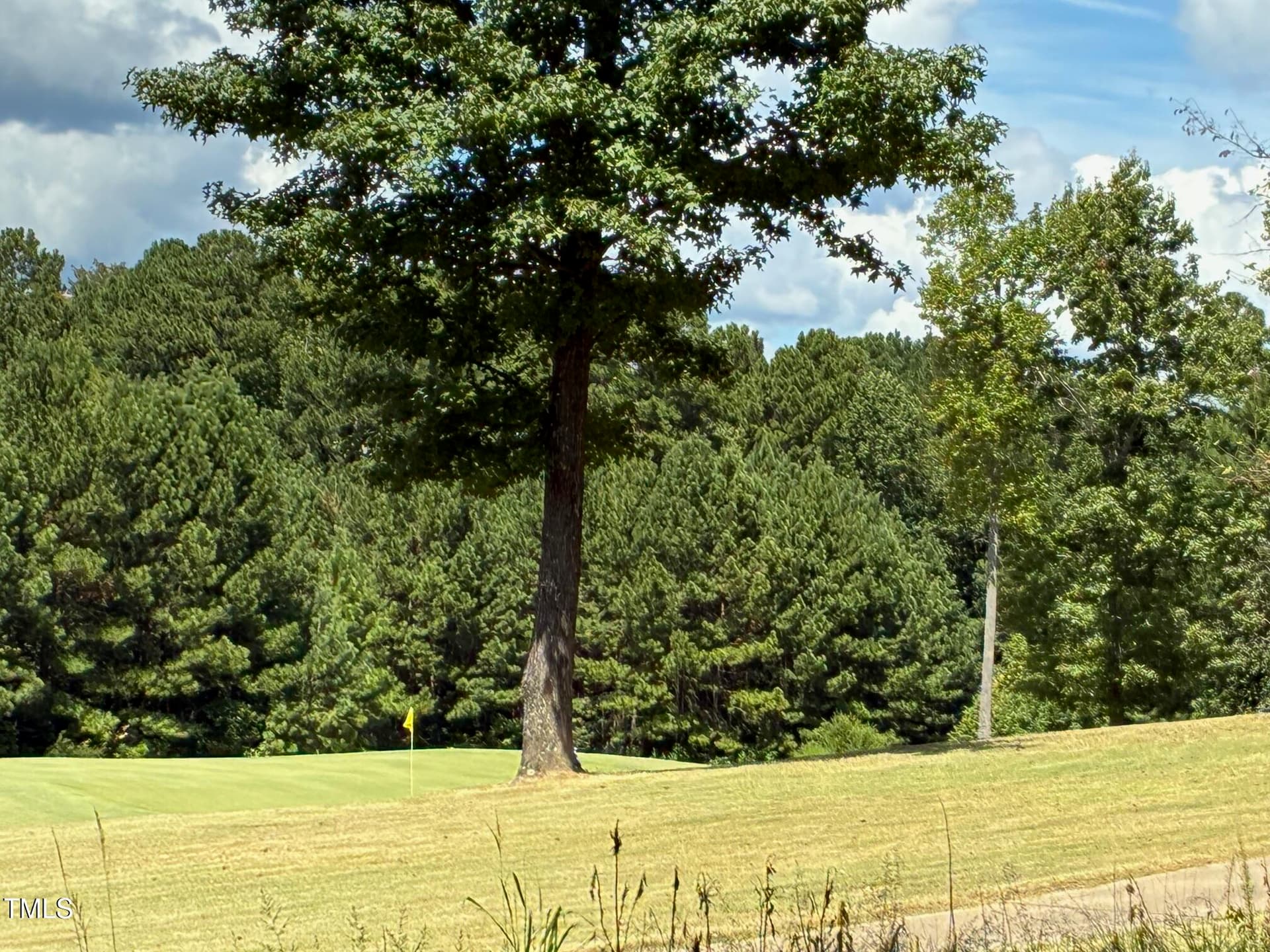 IMG_3817 - 48 Sweet Meadow Lane, Pittsboro, NC 27312