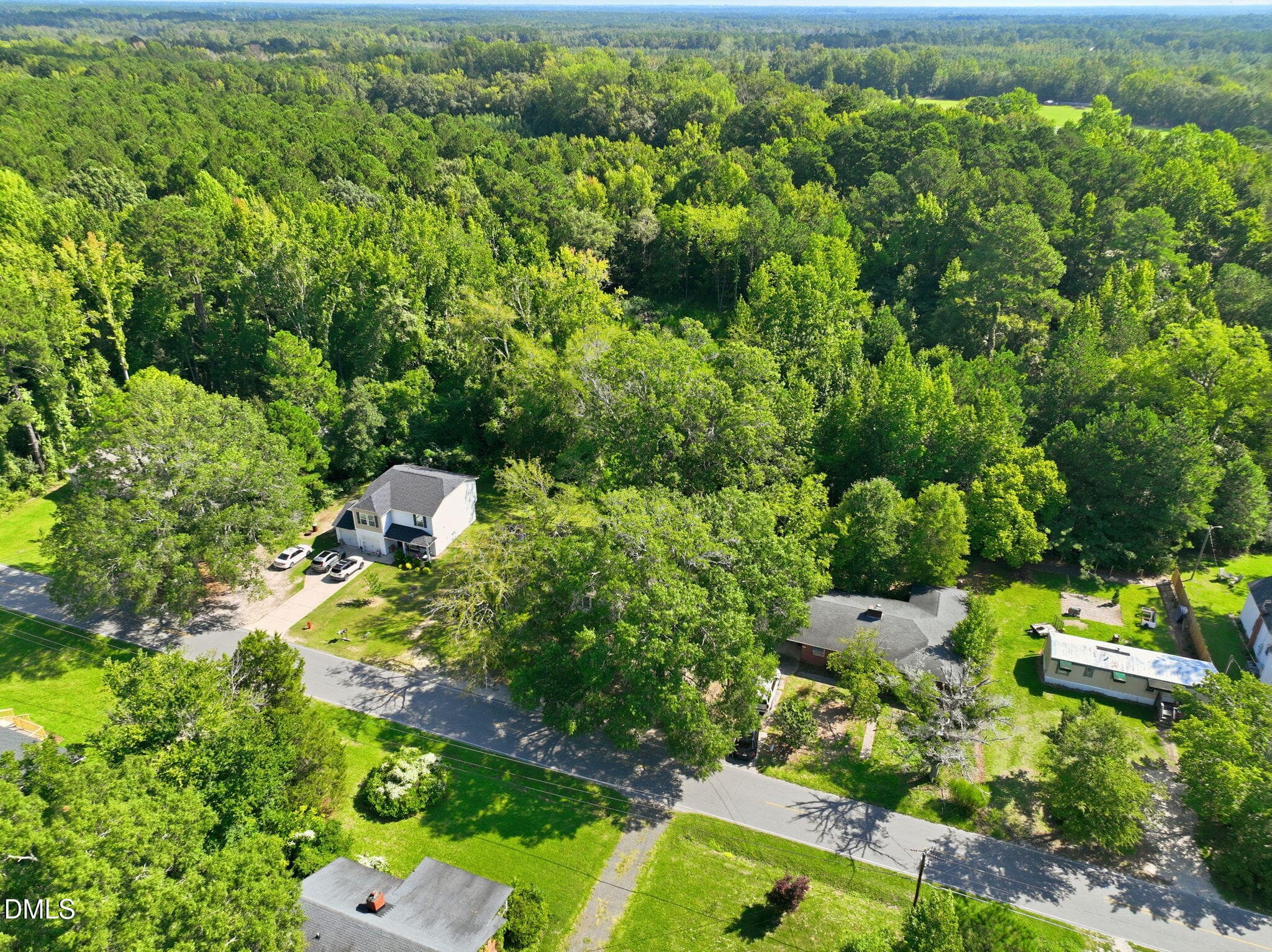 5-web-or-mls-DJI_0356 - 207 Pendergraft Road, Bunnlevel, NC 28323