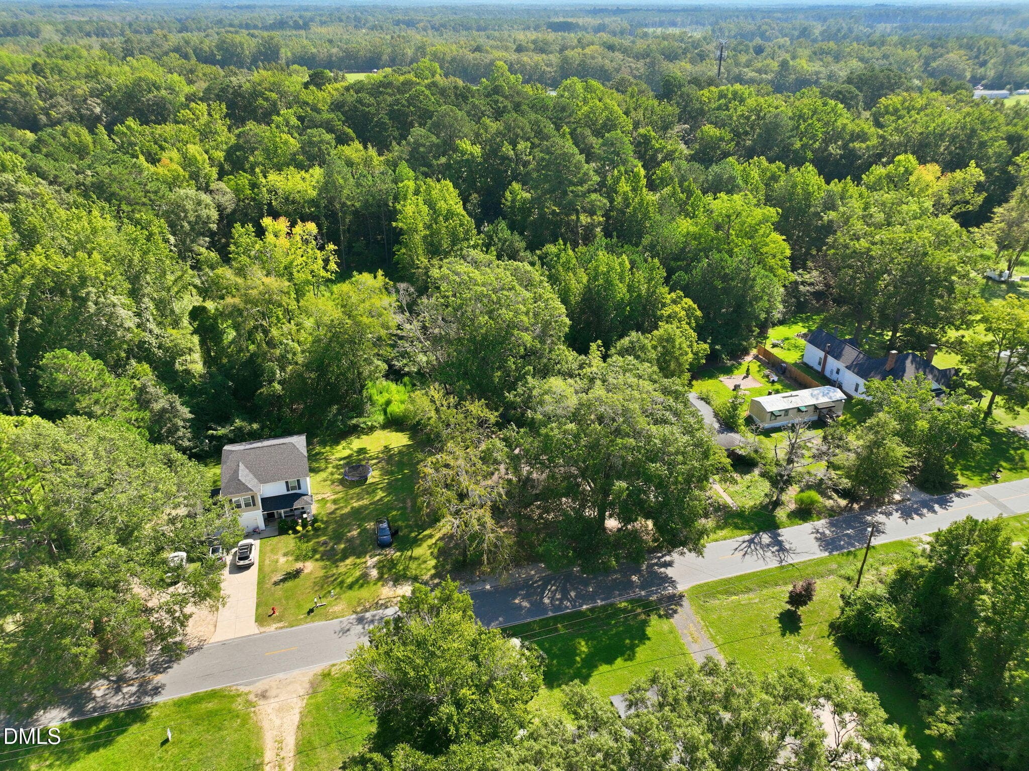 6-web-or-mls-DJI_0358 - edited - 207 Pendergraft Road, Bunnlevel, NC 28323