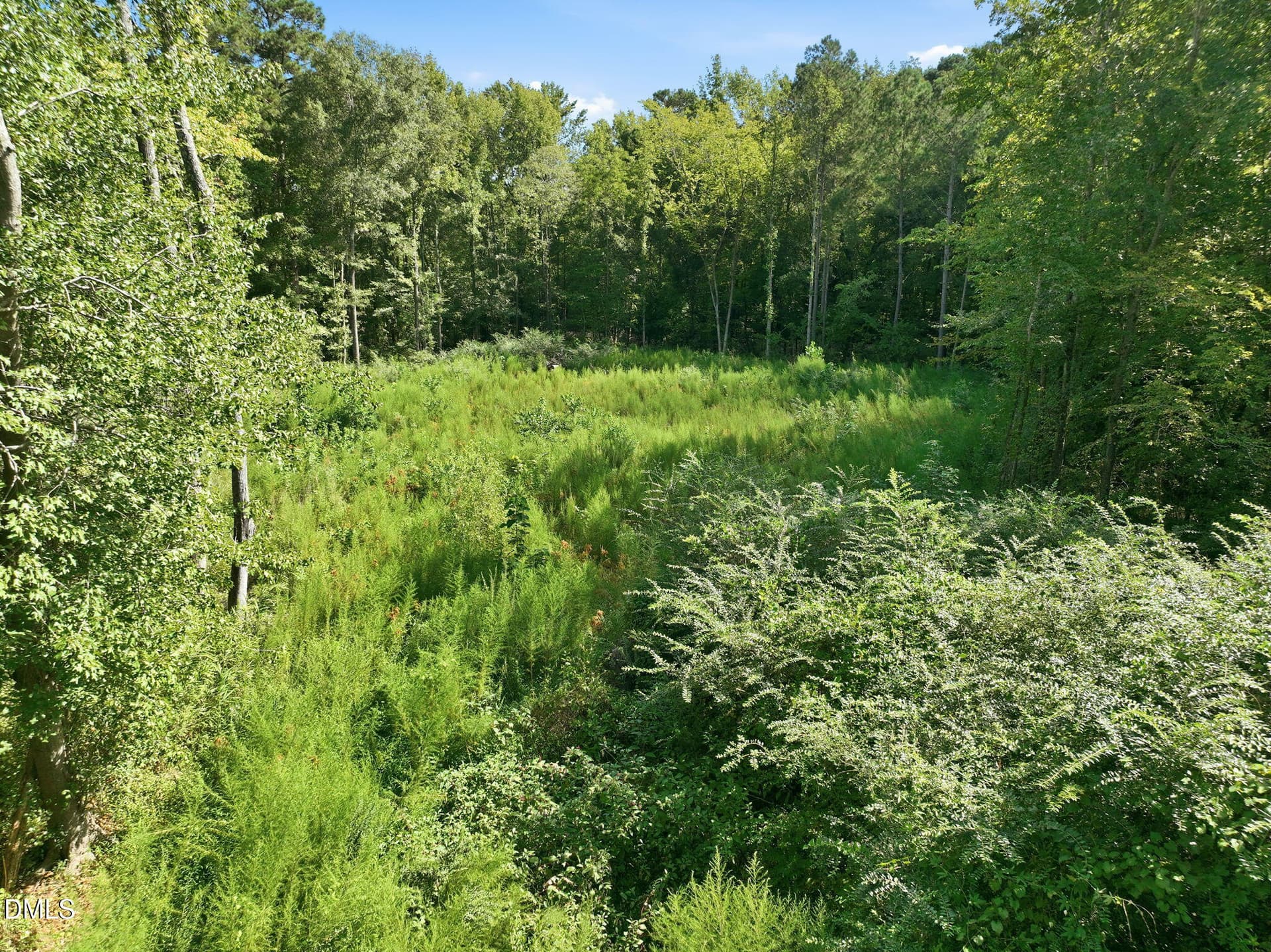 13-web-or-mls-DJI_0367 - 207 Pendergraft Road, Bunnlevel, NC 28323
