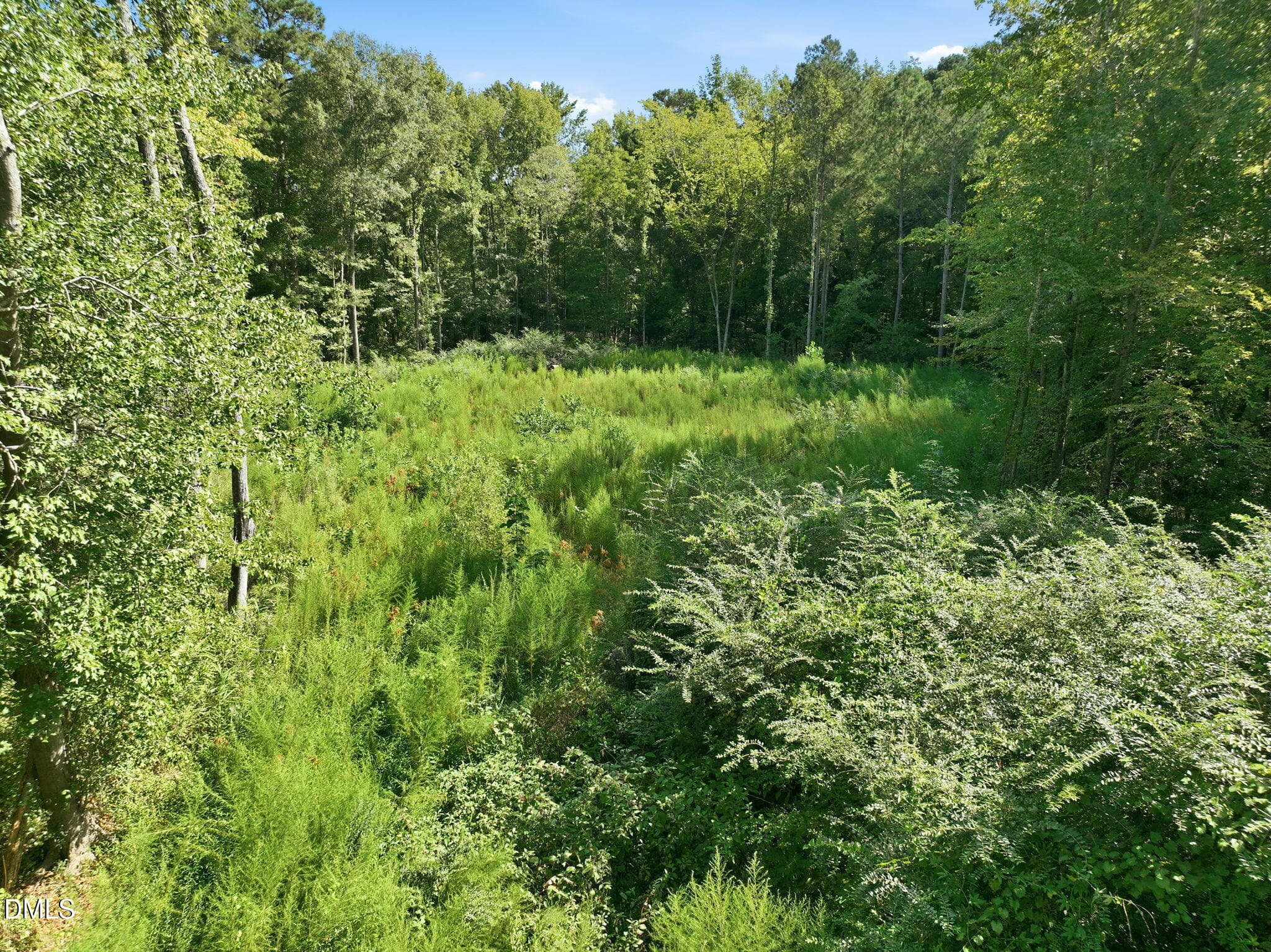 13-web-or-mls-DJI_0367 - 207 Pendergraft Road, Bunnlevel, NC 28323