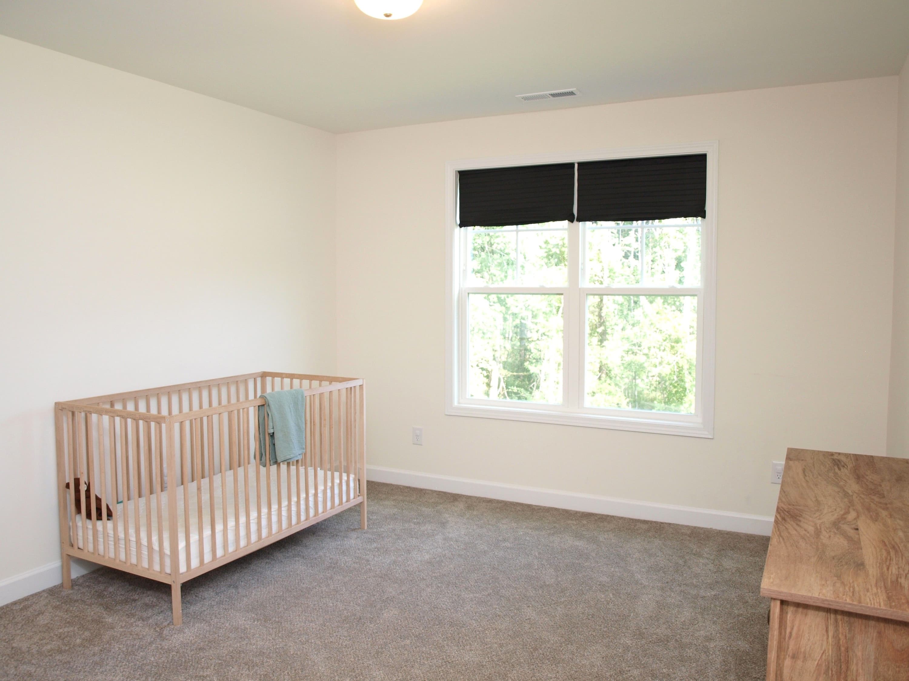 19.JPG - 373 Abingdon Farms Drive, Selma, NC 27576